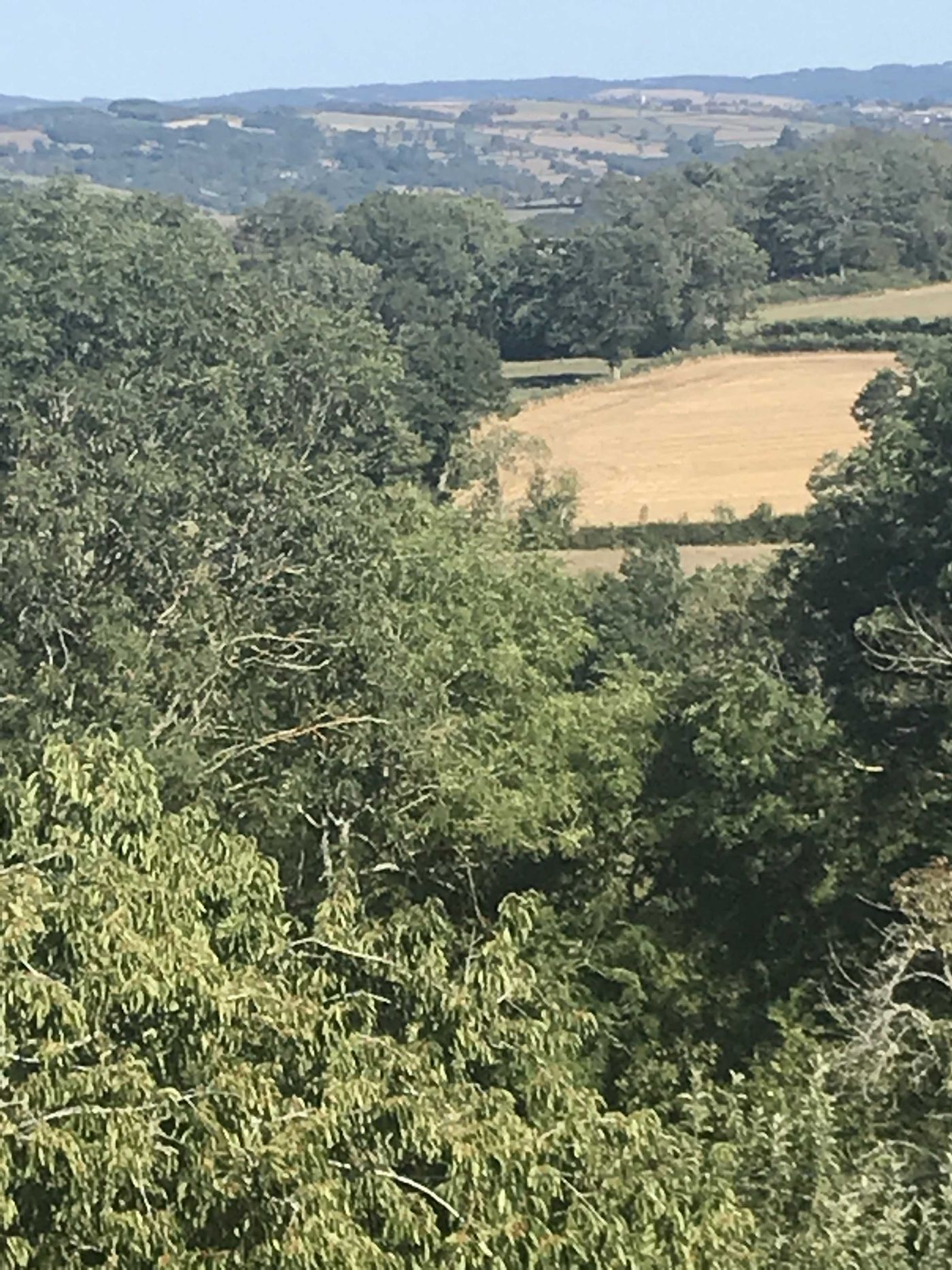 Gîte de cure Chez l'Henri, Fontanières - photo 4