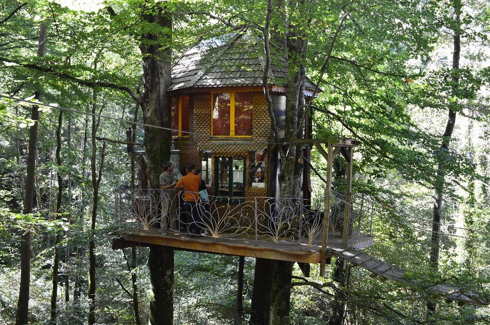 EcoSource Arboricole : La Mère