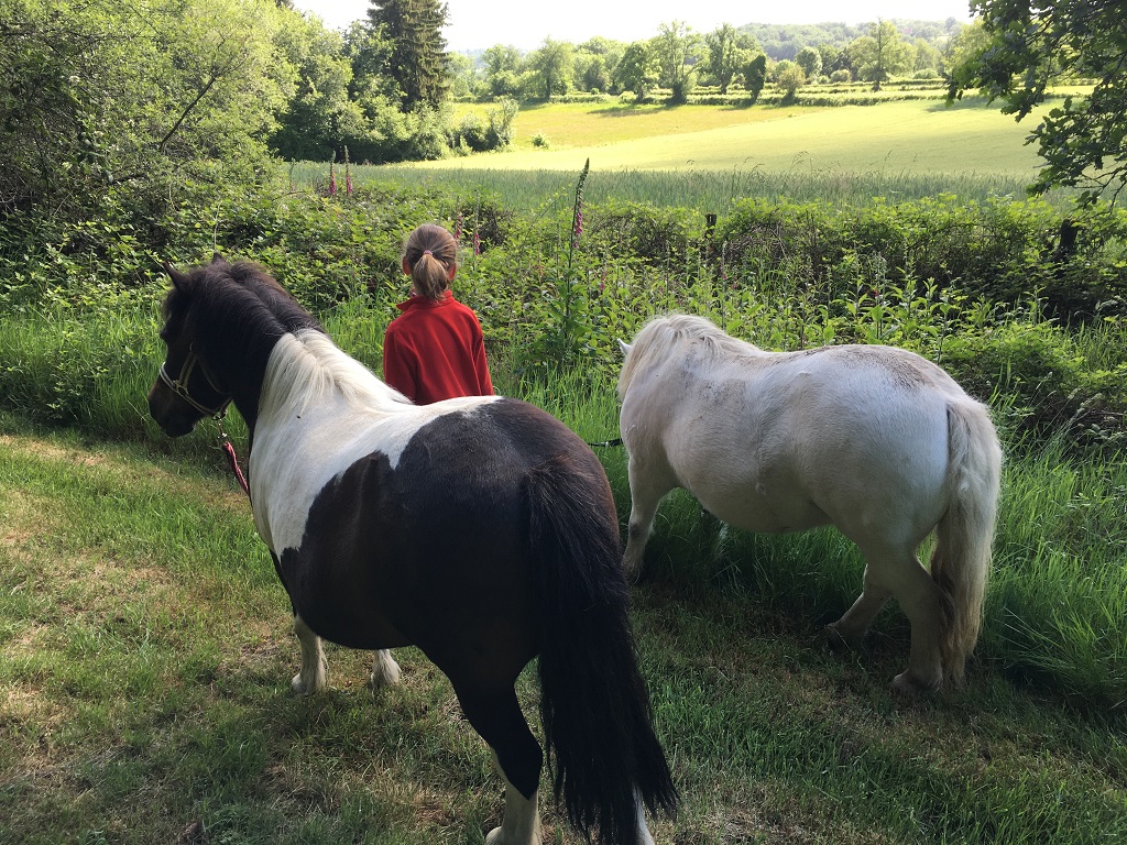 Gîte d'étape La Roue d'Escampette, Champagnat - photo 2