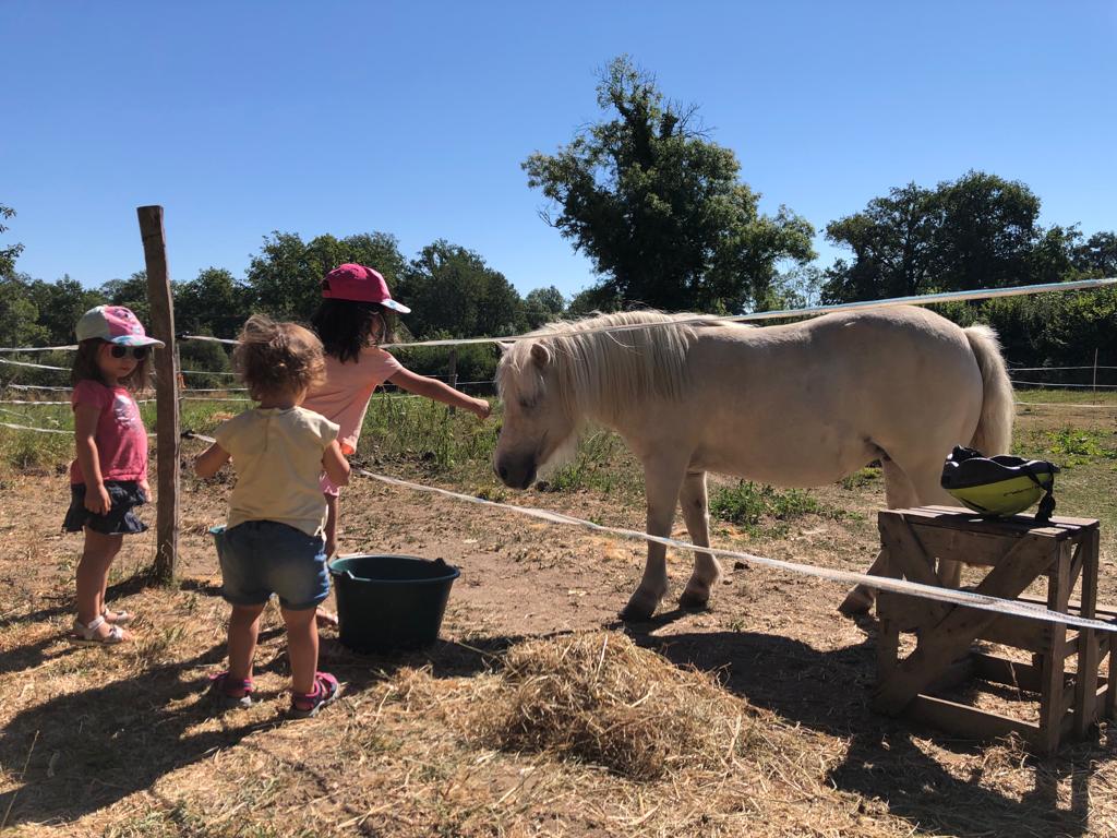 Gîte d'étape La Roue d'Escampette, Champagnat - photo 3