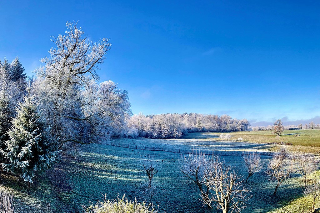 Château du Tirondet : Chambre d'hôte La Sellerie