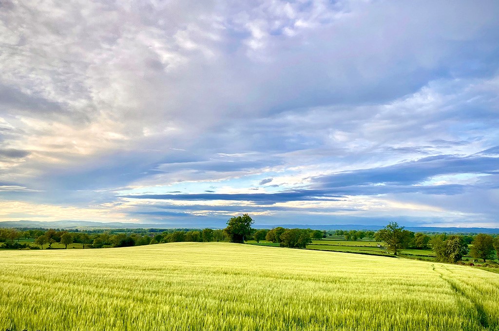 Château du Tirondet : Chambre d'hôte La Sellerie, Sannat - photo 7