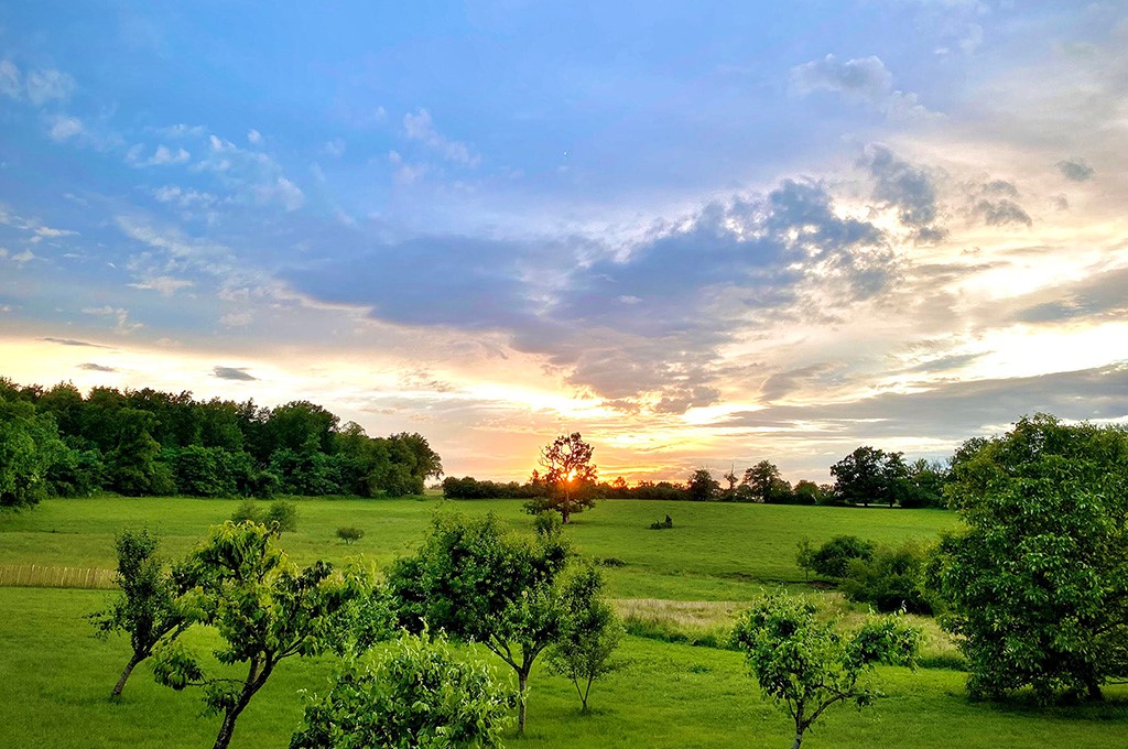 Château du Tirondet : Chambre d'hôte La Sellerie