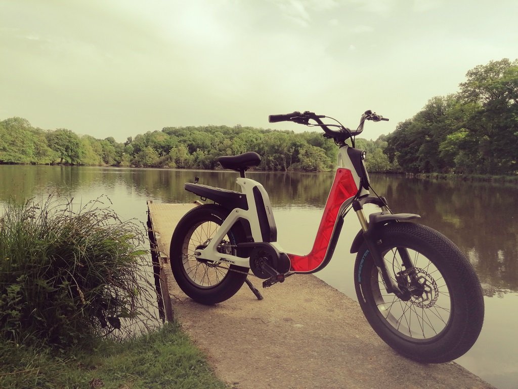 Chambre d'hôtes : Le Chataigner - photo 3