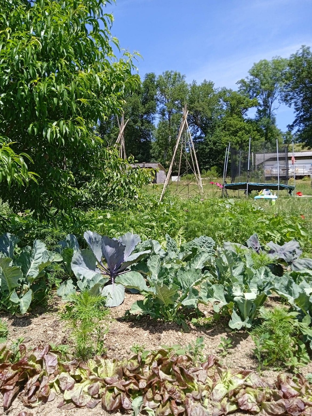 Roul'roudeau : location de caravanes à thèmes - photo 3