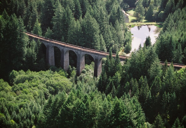 Douglaseraie des Farges