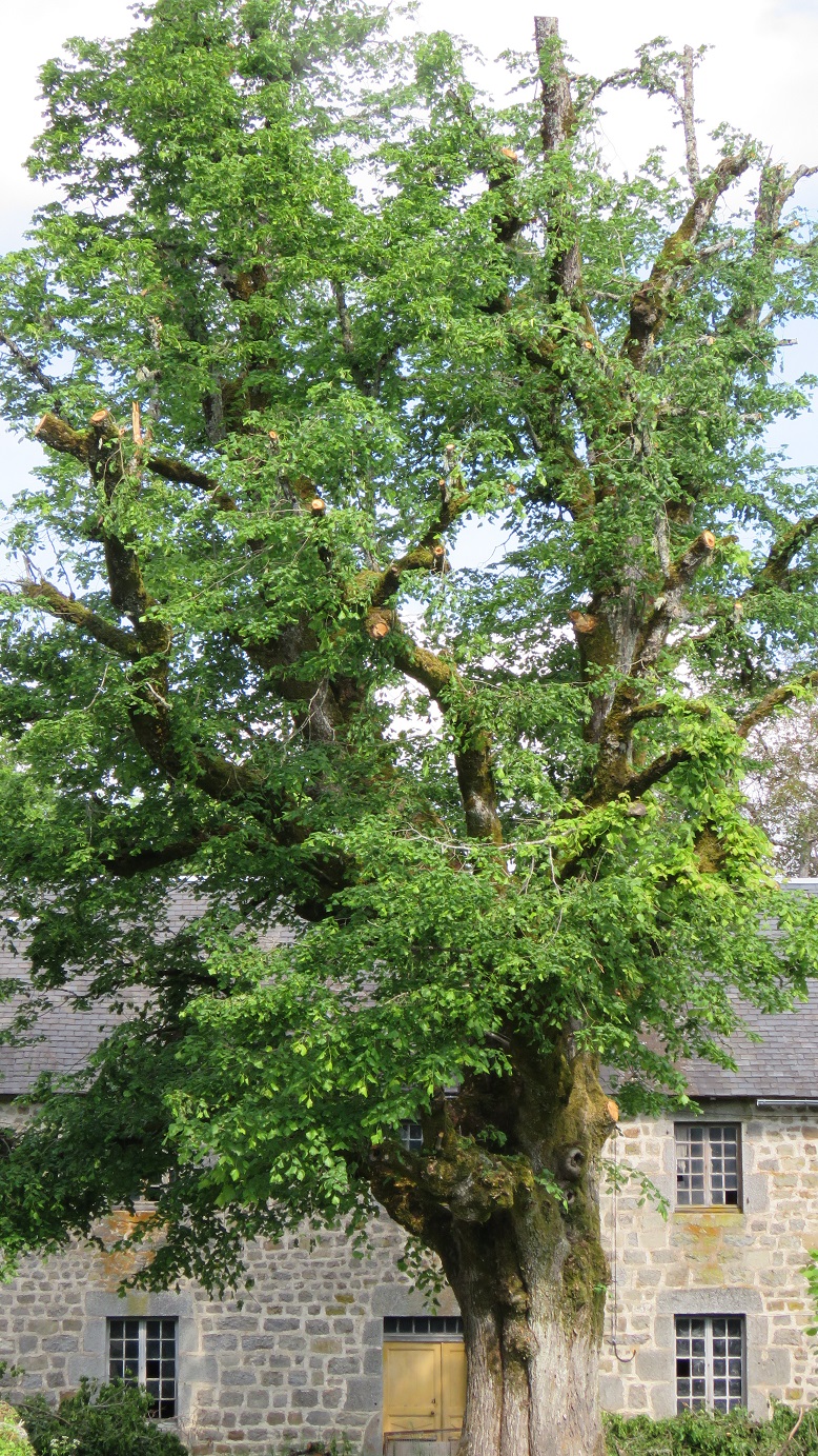 Vieilles demeures - 6 km - photo 4