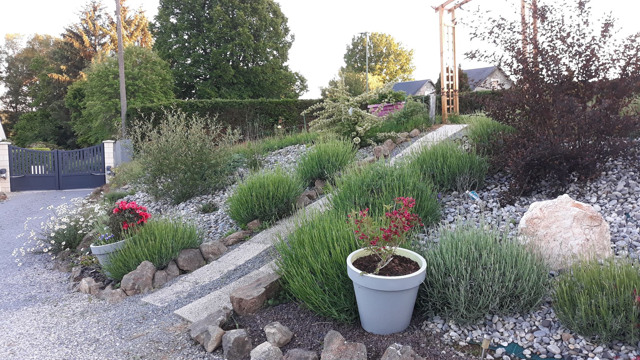 Chambres d'Hôtes Les p'tits loups Sornac 19290