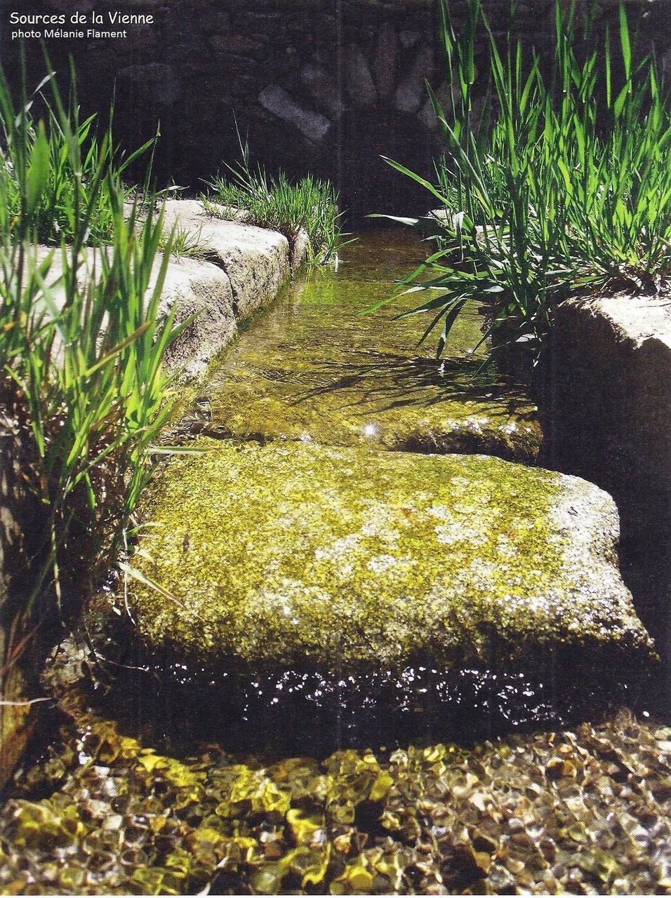 Les Sources de la Vienne, Millevaches - photo 3