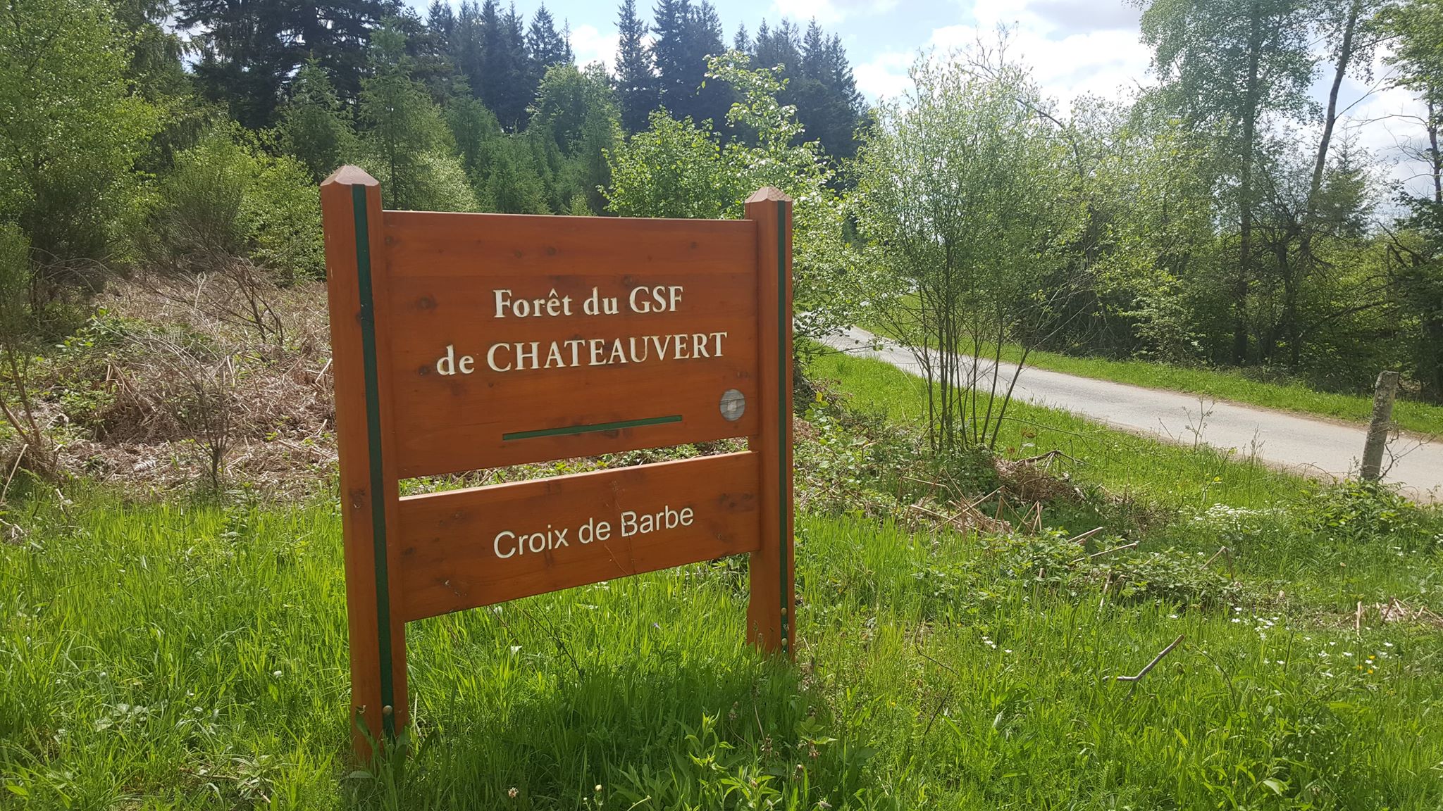 Forêt de Châteauvert