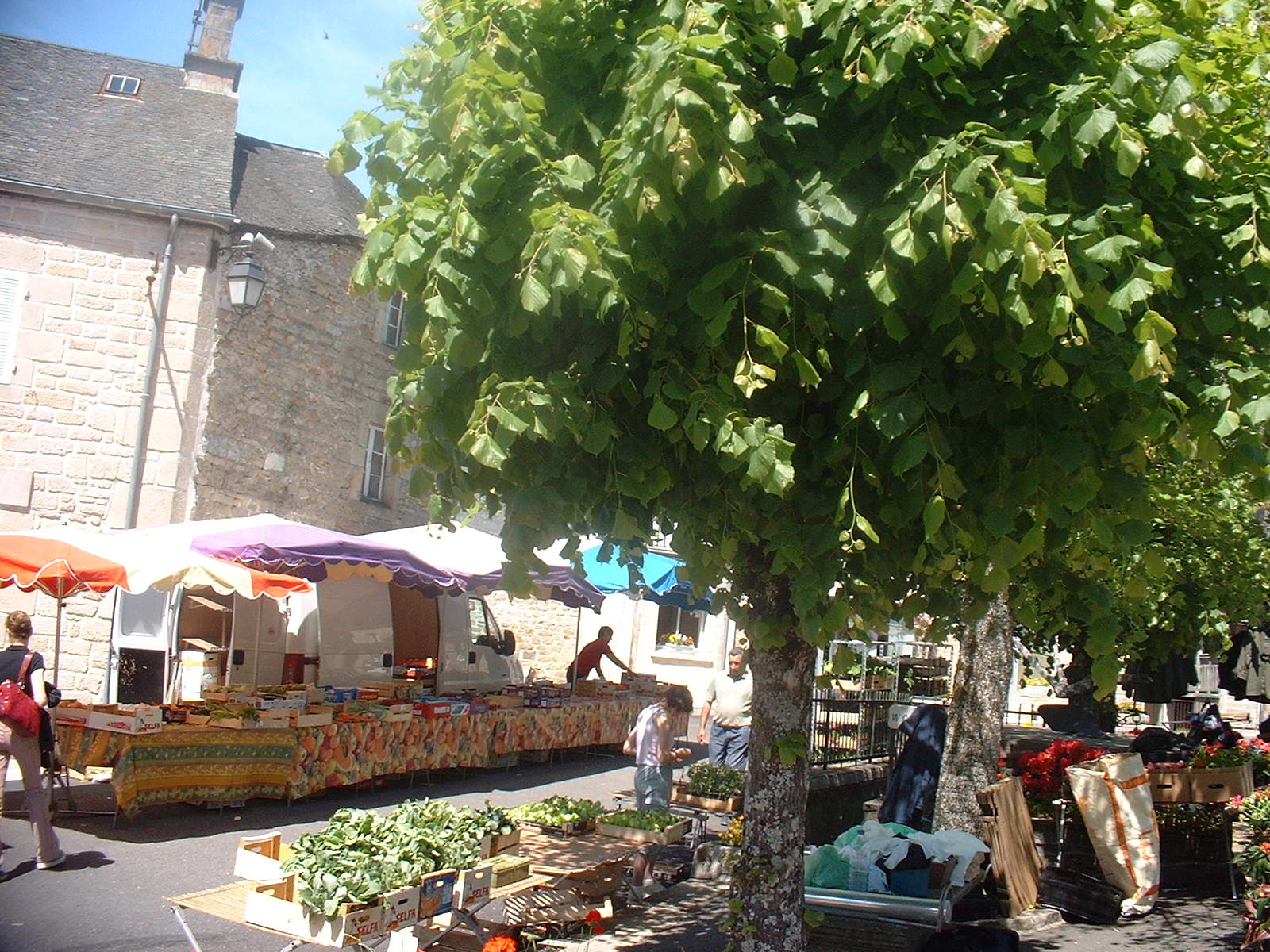 Marché de Bugeat, Bugeat - photo 2
