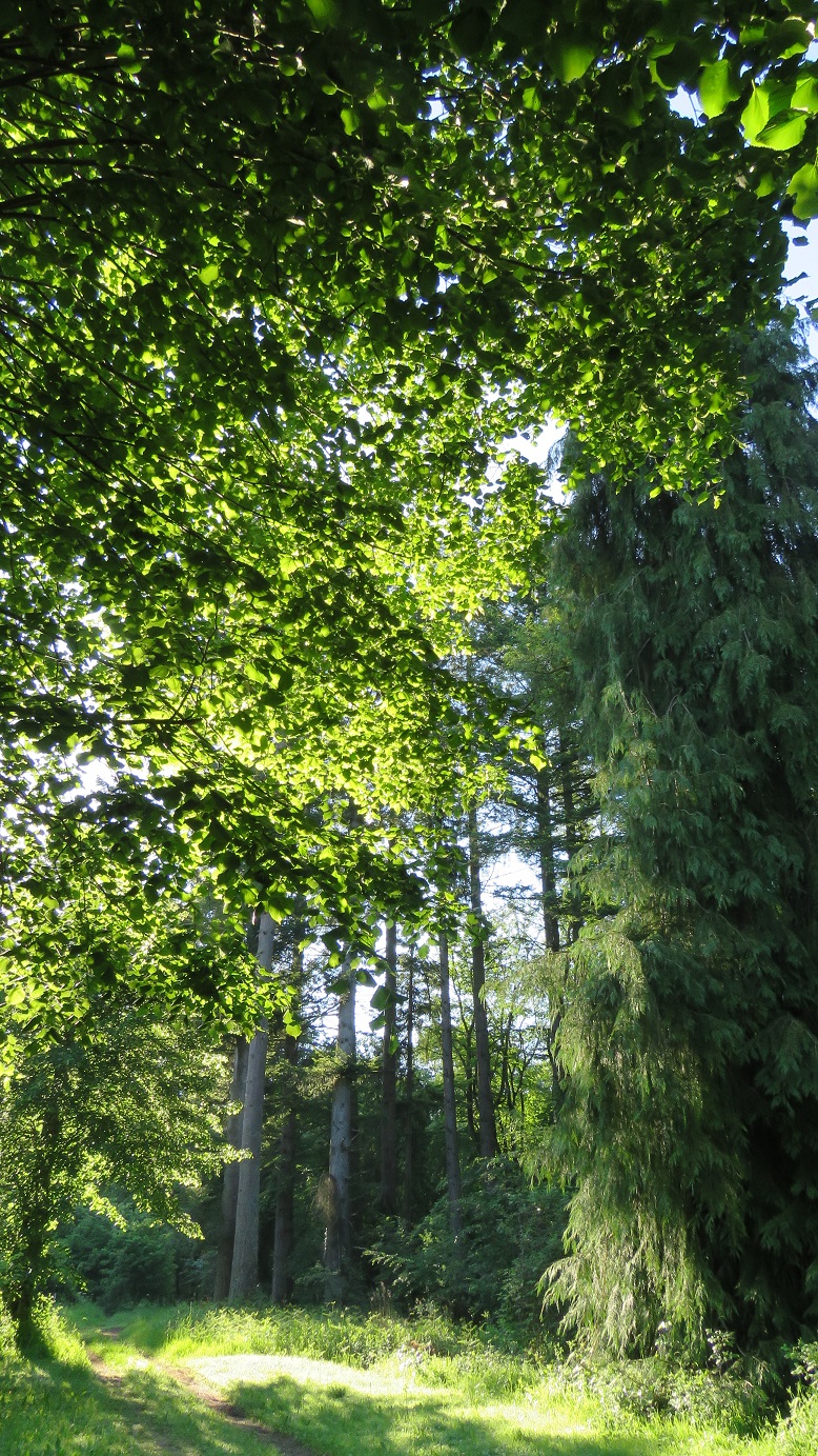 Au fil de la Dejoune - 20 km - photo 3