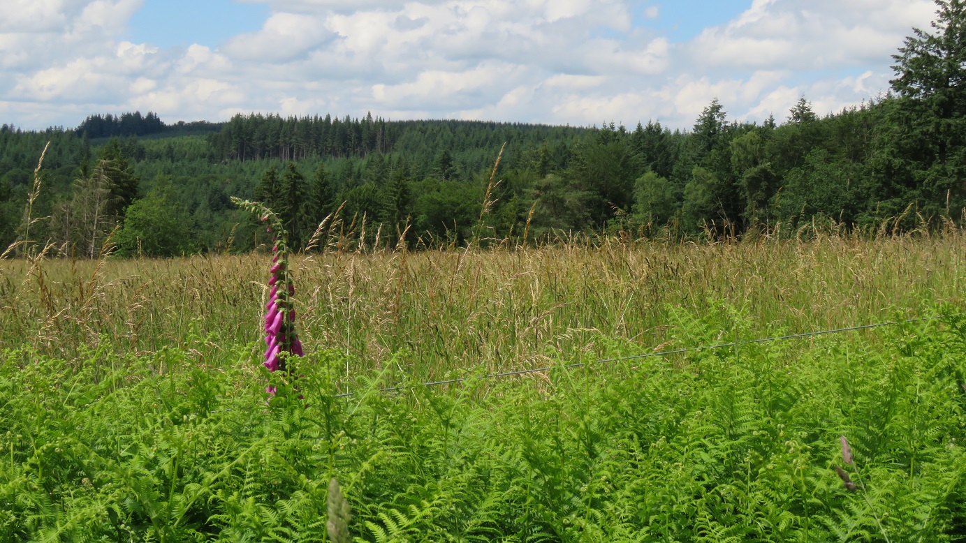 La piste blanche - 15 km - photo 3