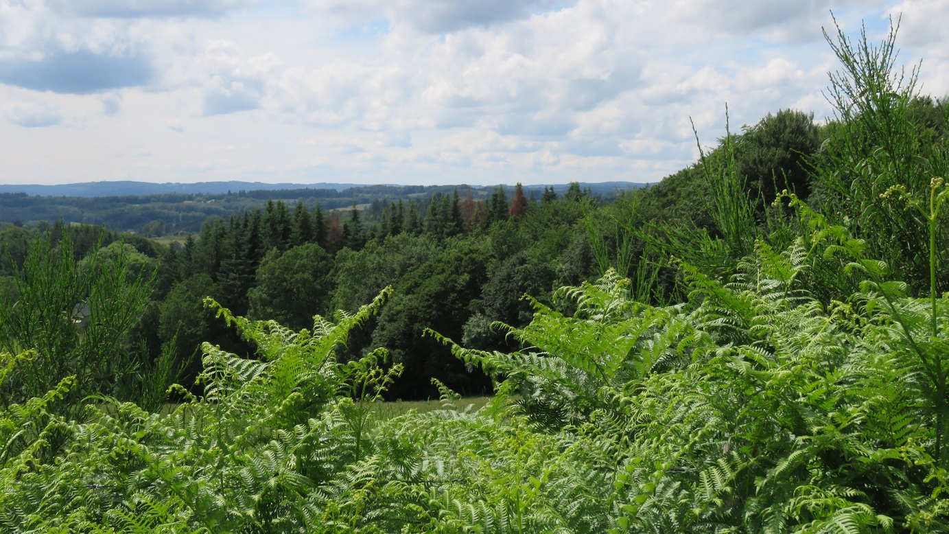 La piste blanche - 15 km - photo 5