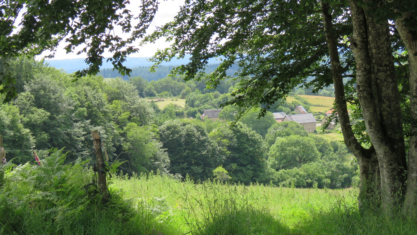 La piste blanche - 15 km - photo 2