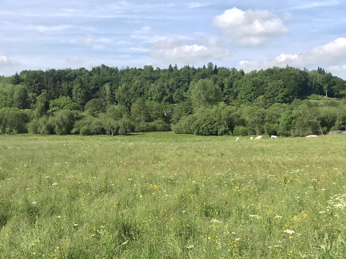 Le Puy de la Lizière - 13 km - photo 5
