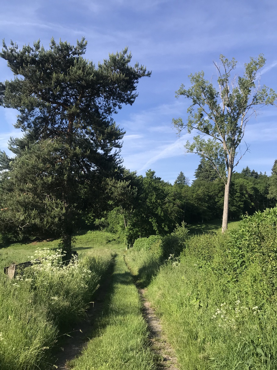 Au fil de la Dejoune (raccourci de 15 km) - photo 3