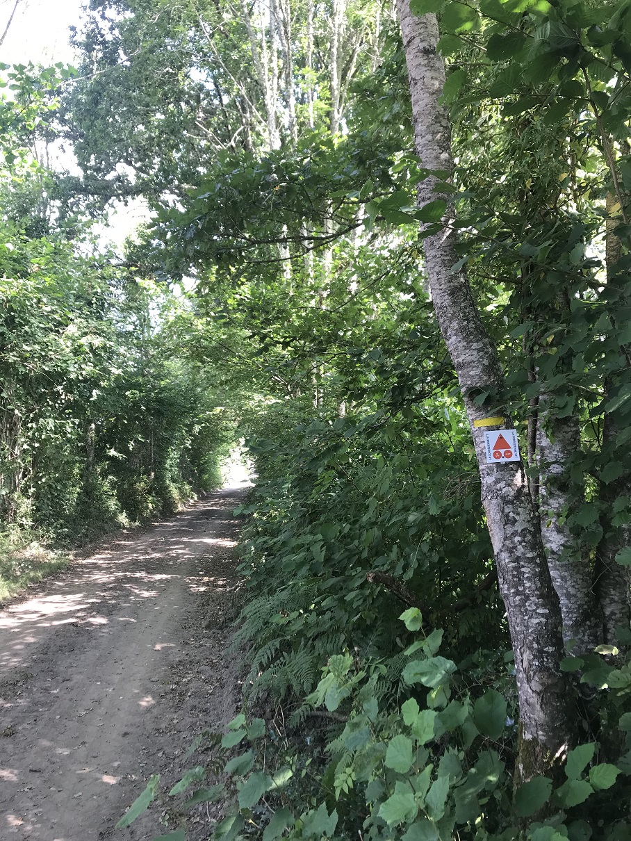 De l'homme et de la nature (variante de 4 km), Saint-Rémy - photo 2