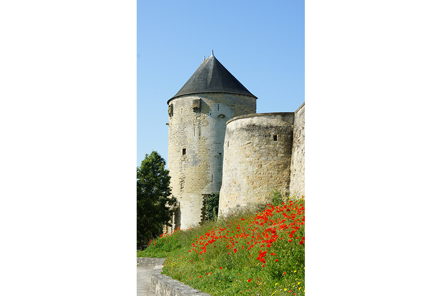 Tour du Prince de Galles