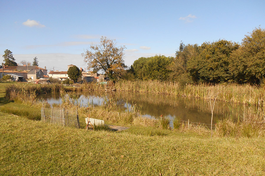 A La Campagne, Glénay - photo 6