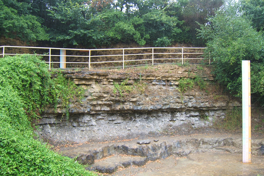 Réserve Naturelle Nationale du Toarcien, Sainte-Verge - photo 4