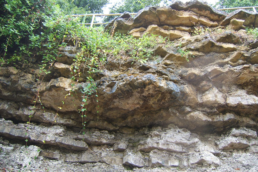 Réserve Naturelle Nationale du Toarcien, Sainte-Verge - photo 3