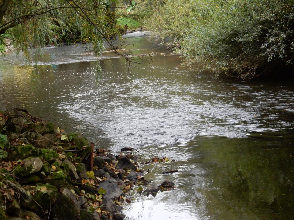 LE MOULIN DES MYRTILLES — photo 3