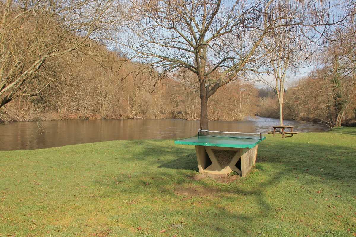 FRANCIS PICABIA, La Celle-Dunoise - photo 12