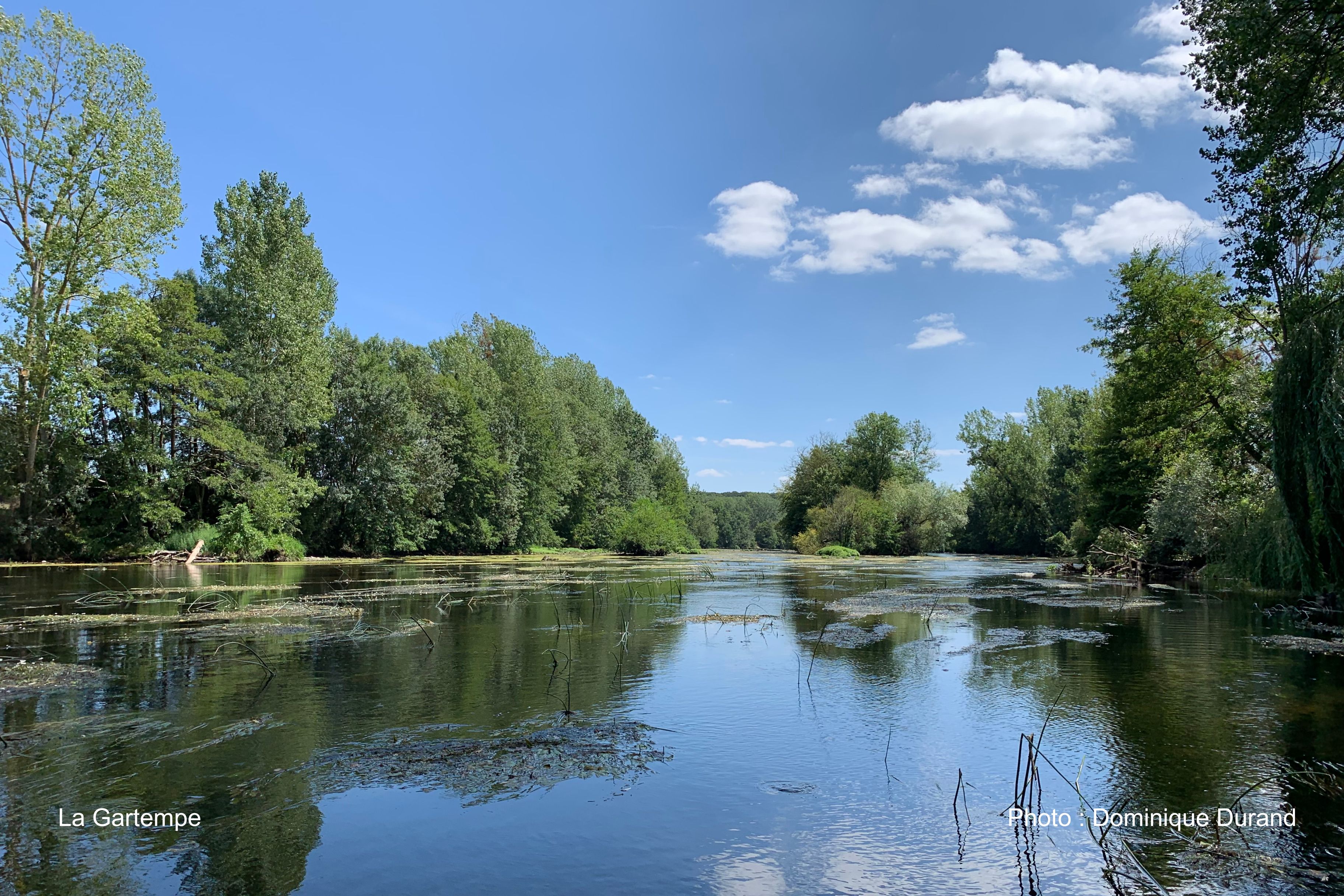Au Val de Gartempe, Vicq-sur-Gartempe - photo 11