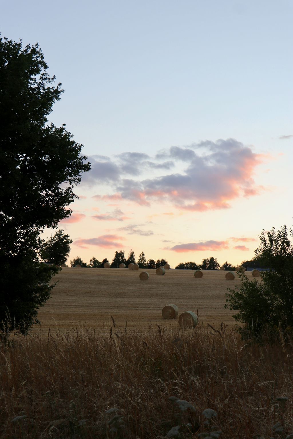 Meublé Le Clos, Marsac - photo 12