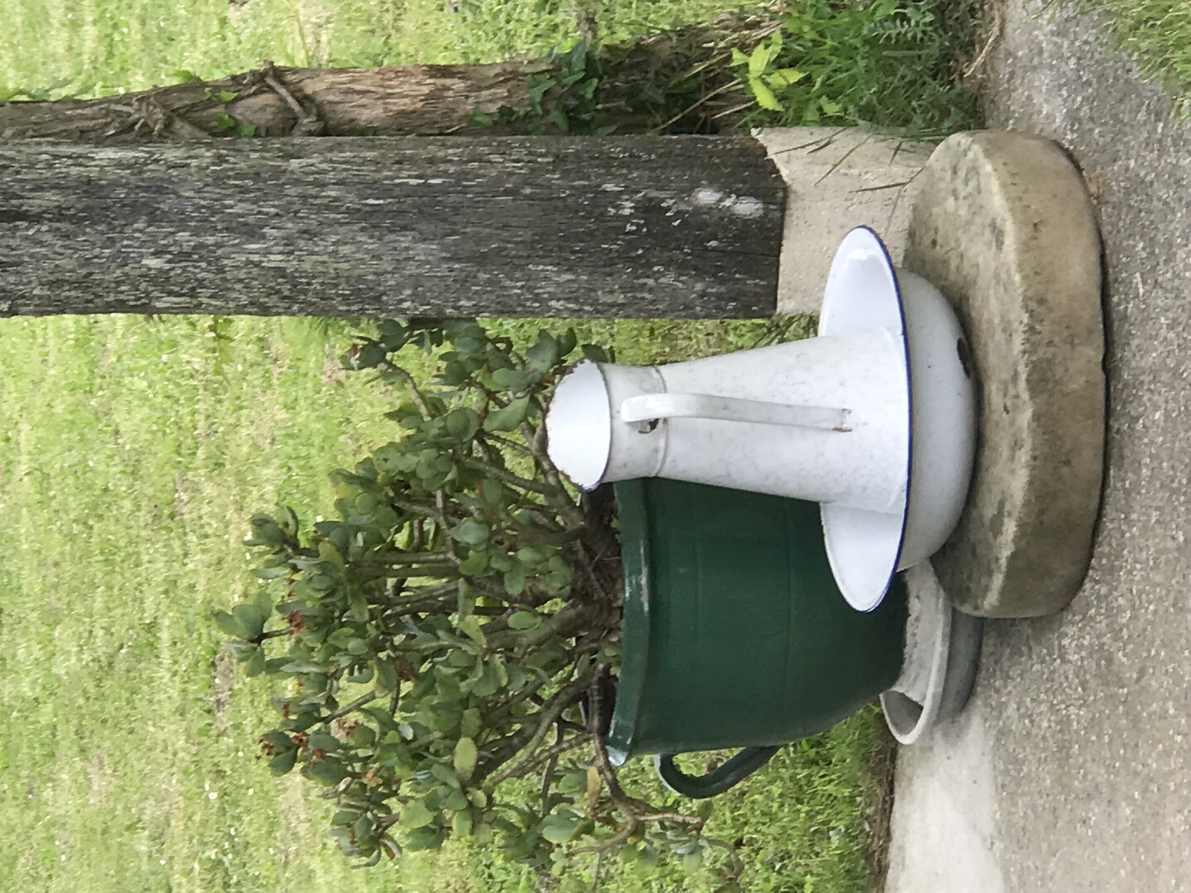 Le Clos des Mésanges, Montastruc - photo 9