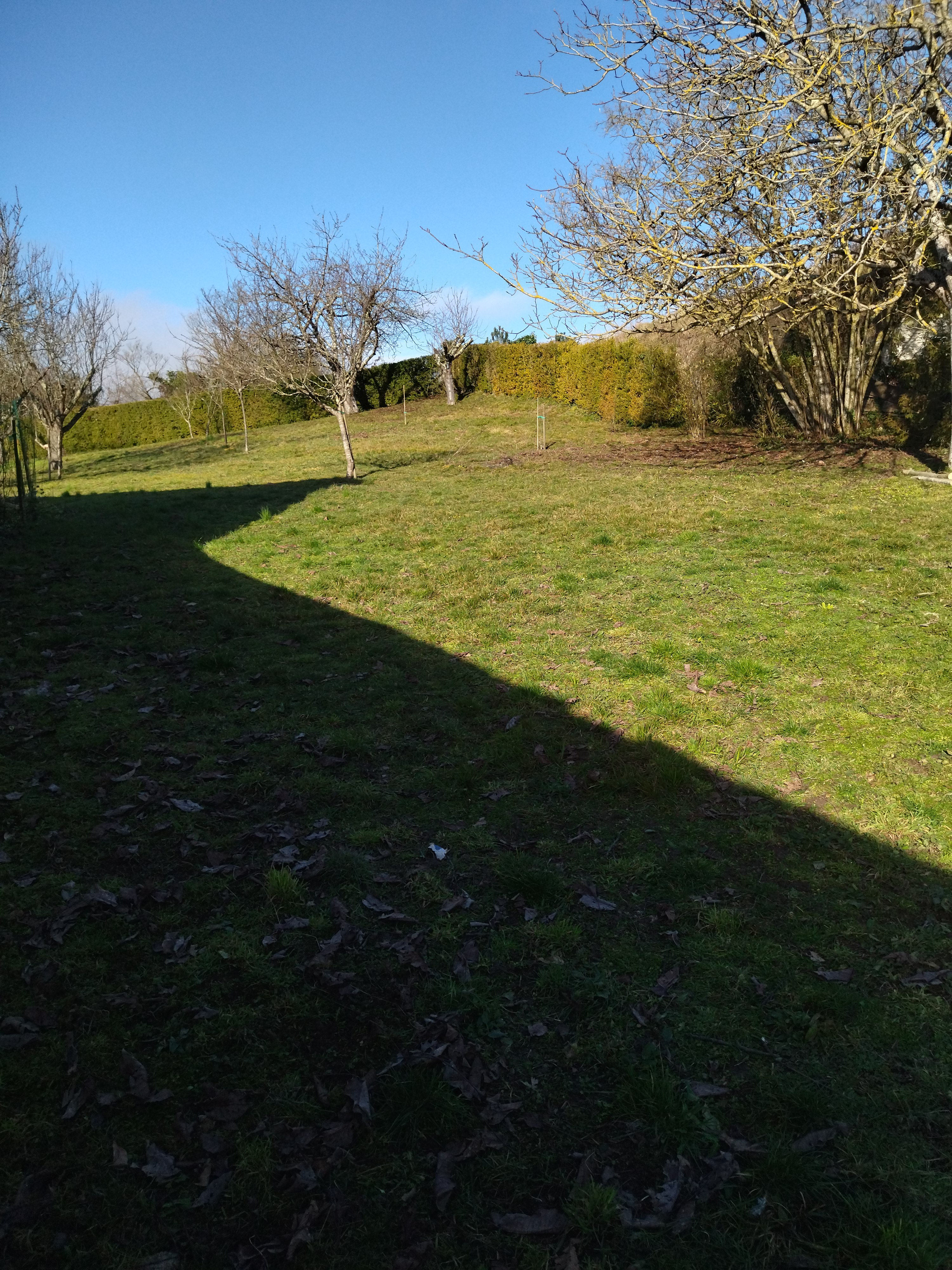 Gîte de la Gravelle, Senillé-Saint-Sauveur - photo 10