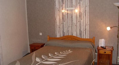 Hôtel-Restaurant La Boule d'Or - photo 2