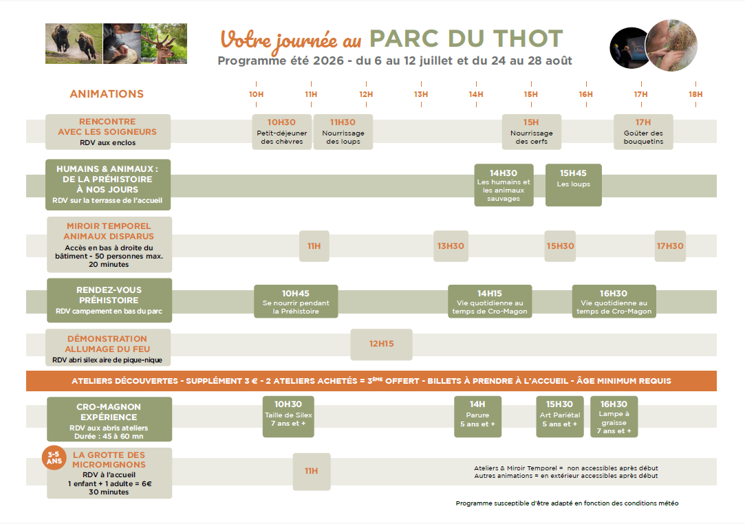 Les vacances d'été au Thot