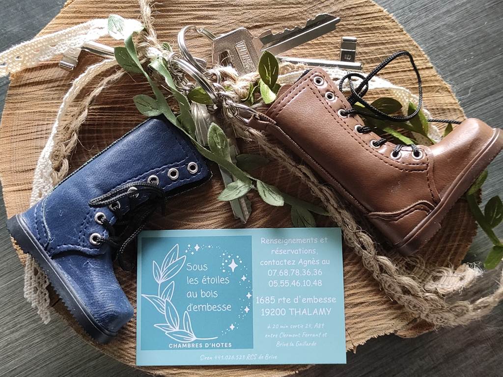 Sous les étoiles au bois d'embesse, Thalamy - photo 9