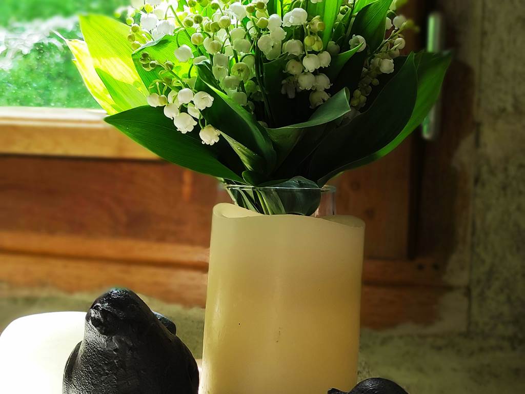 Sous les étoiles au bois d'embesse, Thalamy