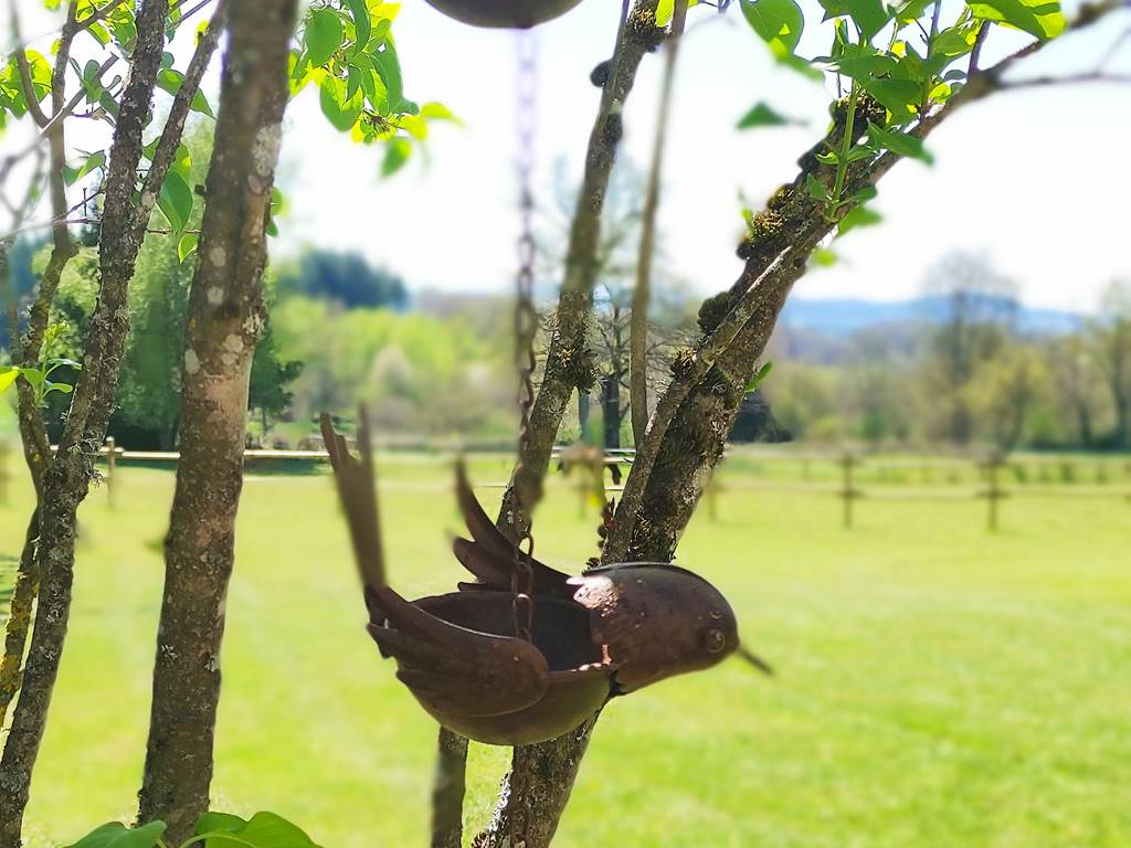 Sous les étoiles au bois d'embesse, Thalamy - photo 11