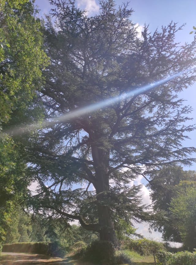 Tèrra Aventura : Au Bal Marçay !