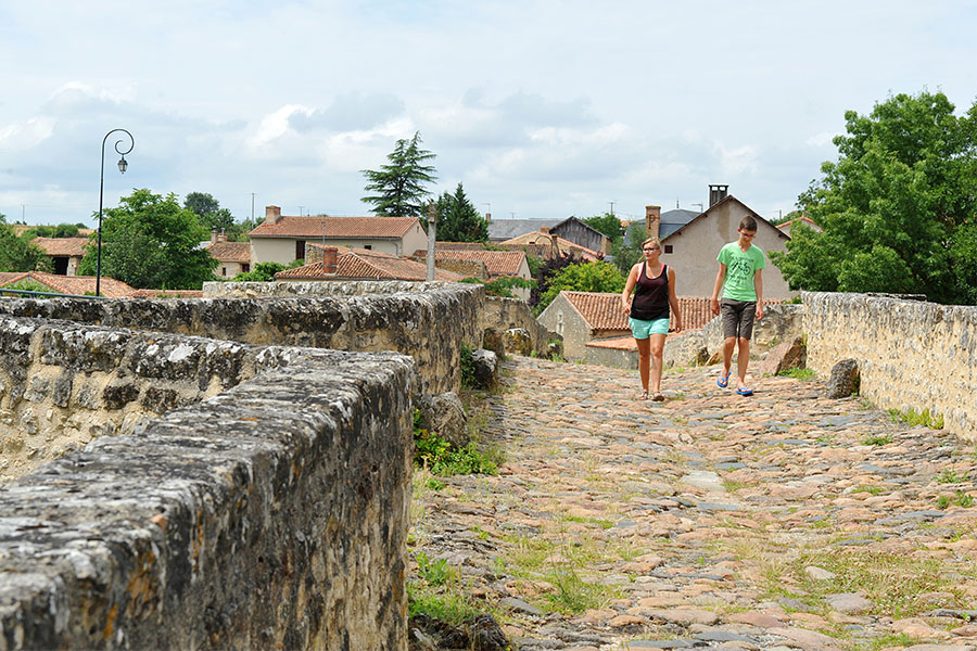 Pont de Saint-Généroux, Saint-Généroux - photo 2
