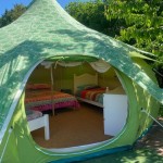 La Ferme des Lamas, Saint-Cyr-les-Champagnes - photo 4