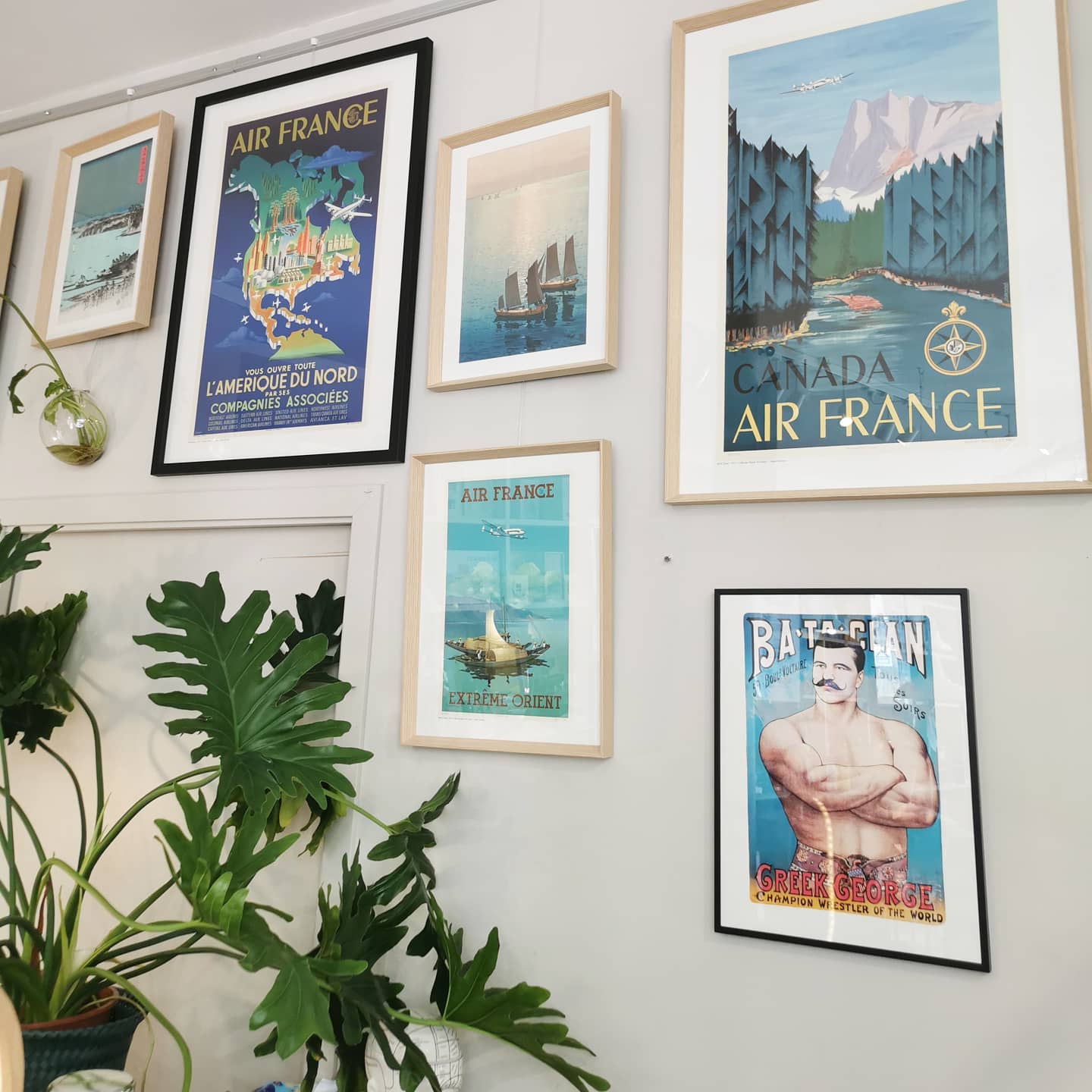 Ferdinand — photo 3