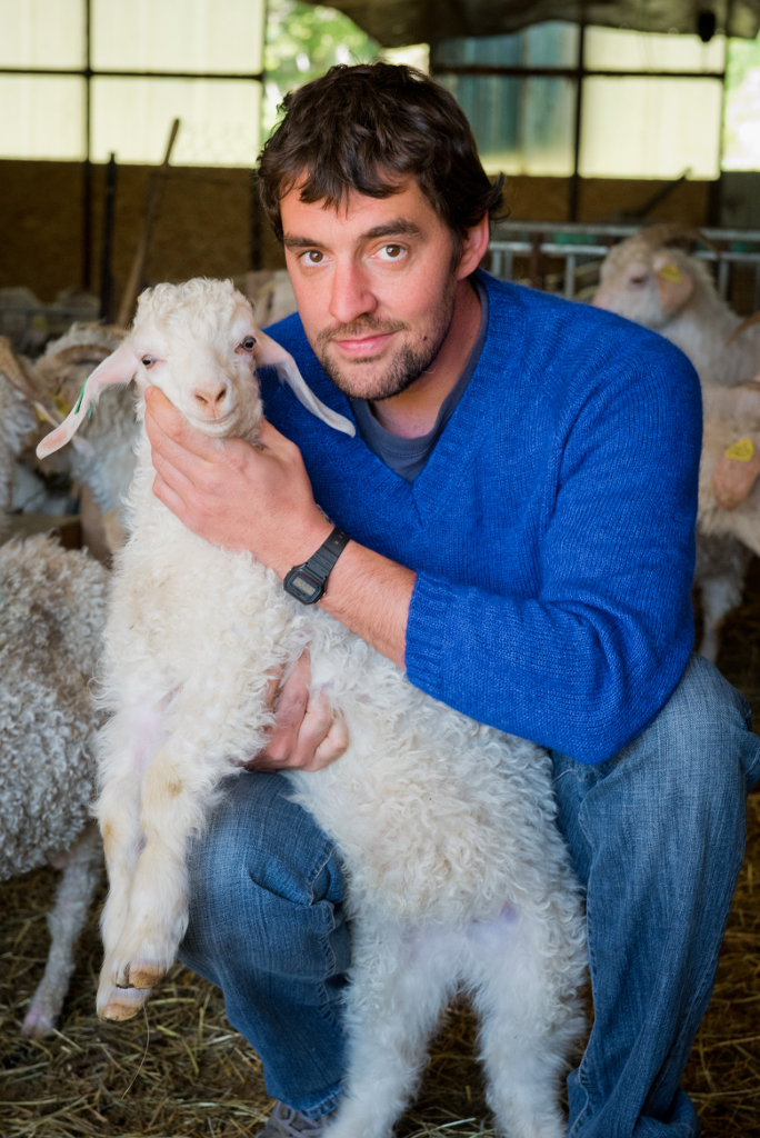 Mohair du Coteau