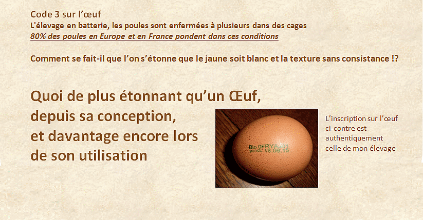Coco Corrèze — photo 2