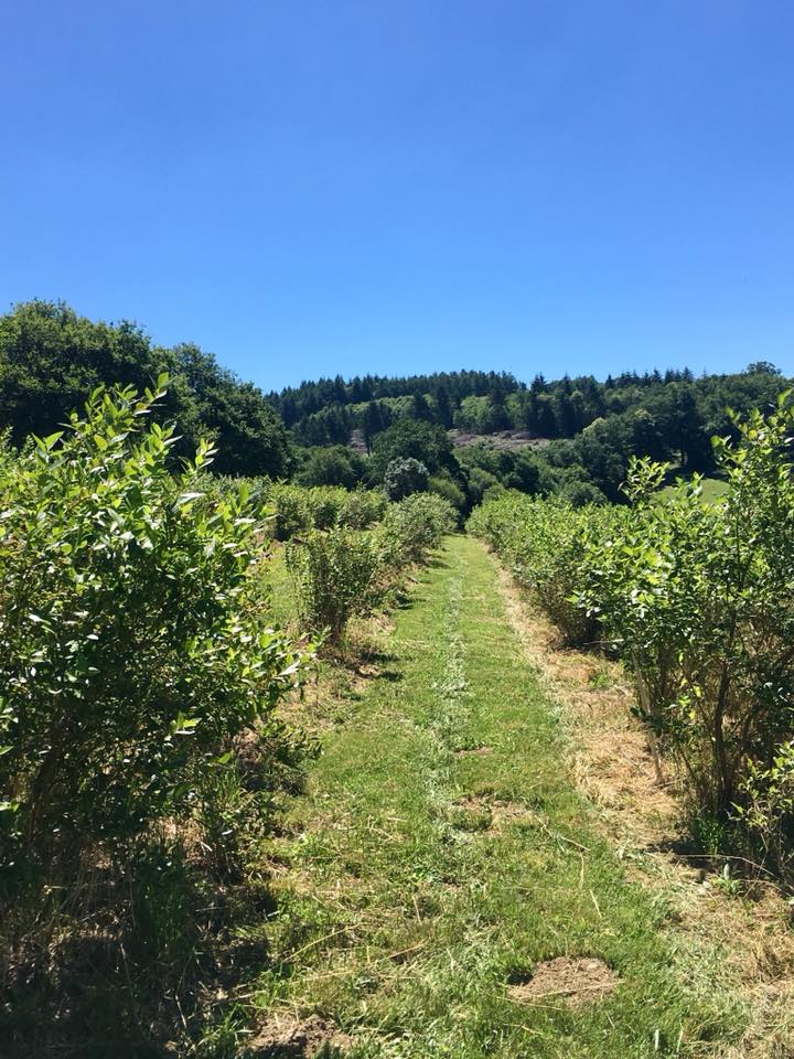 Le Claux — photo 2