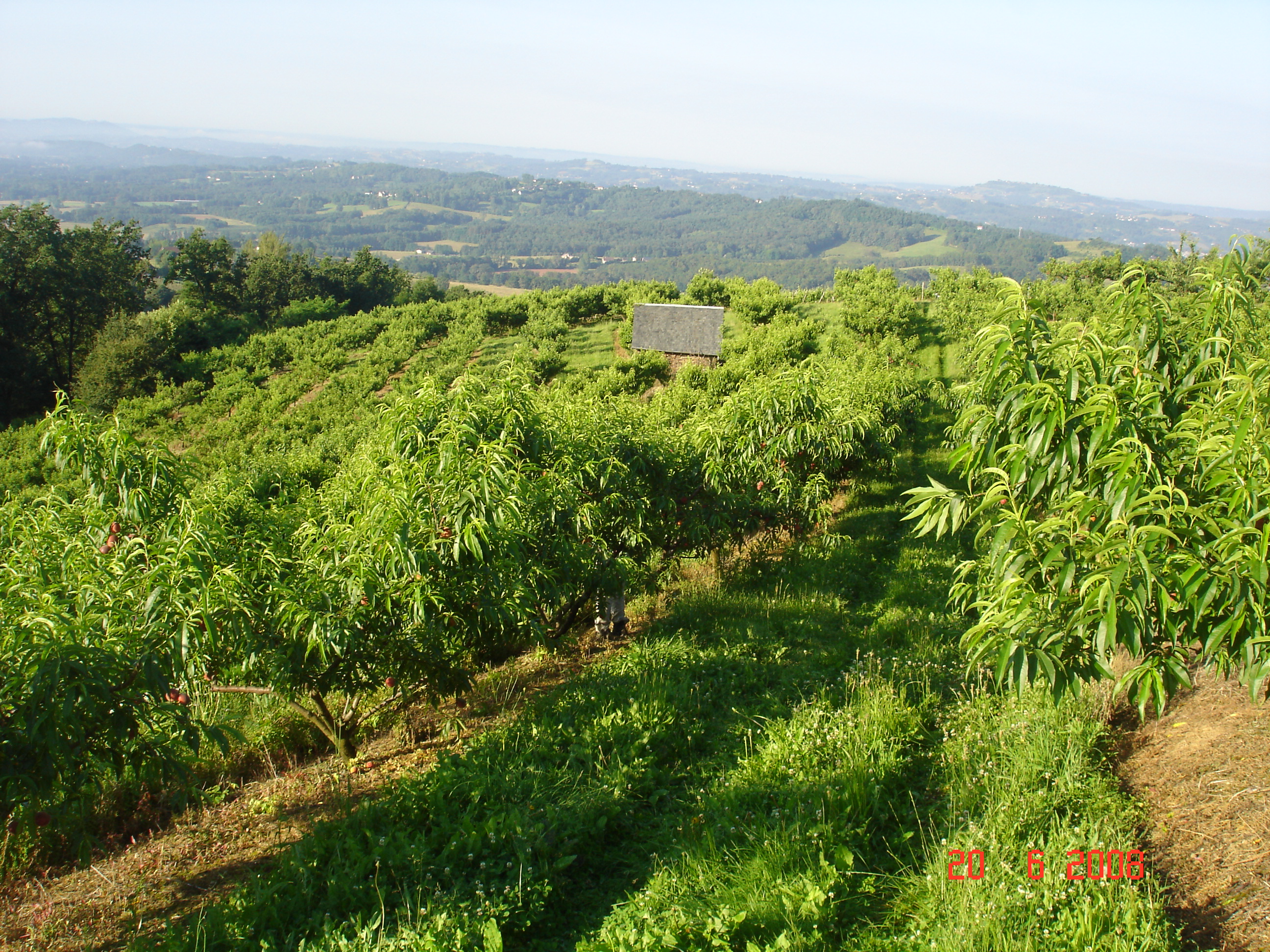 Les Vergers de Meilhac — photo 2
