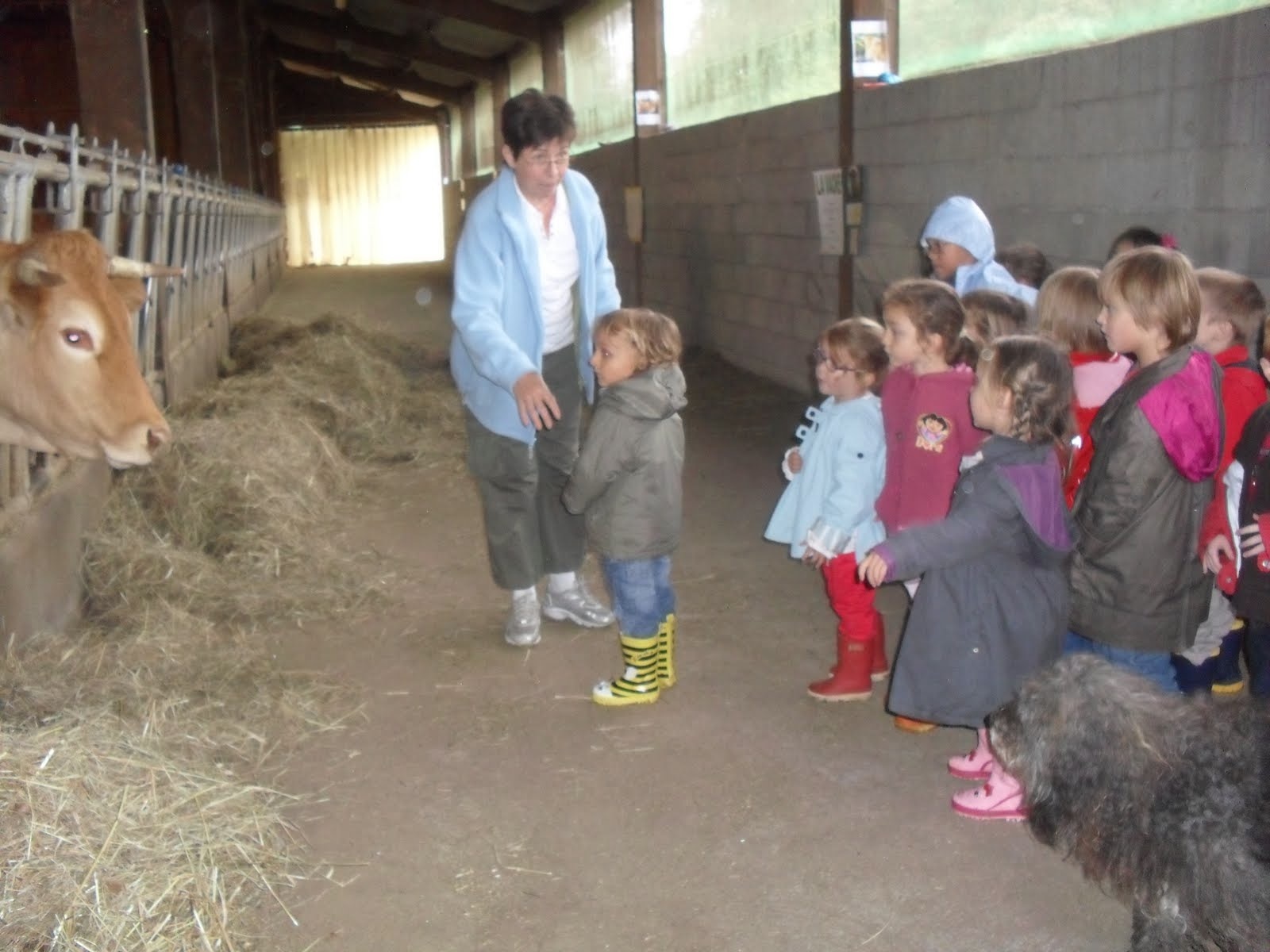 Ferme de la Bitarelle, Camps-Saint-Mathurin-Léobazel - photo 6