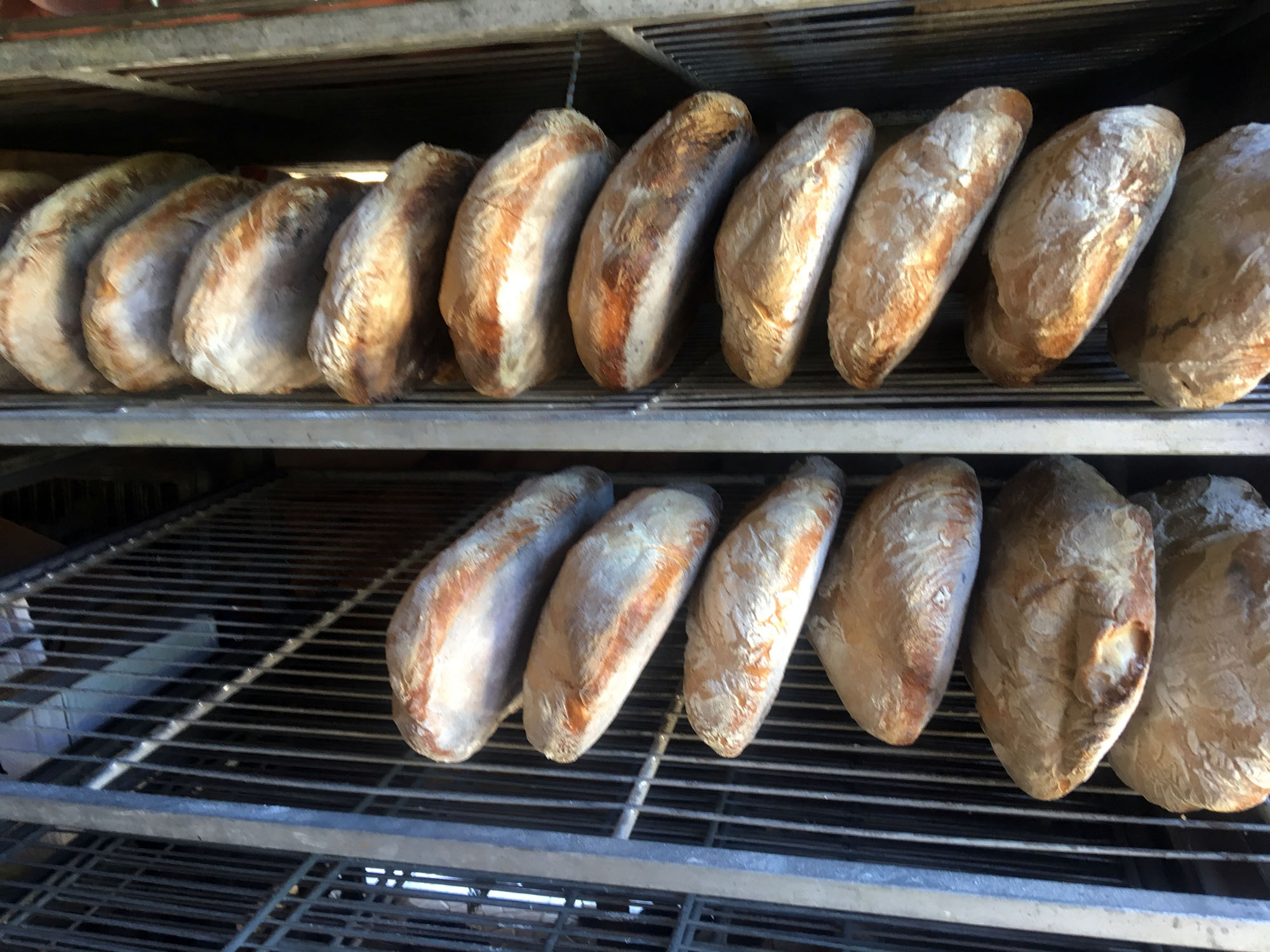 Ferme de Brossard, Lanteuil - photo 4