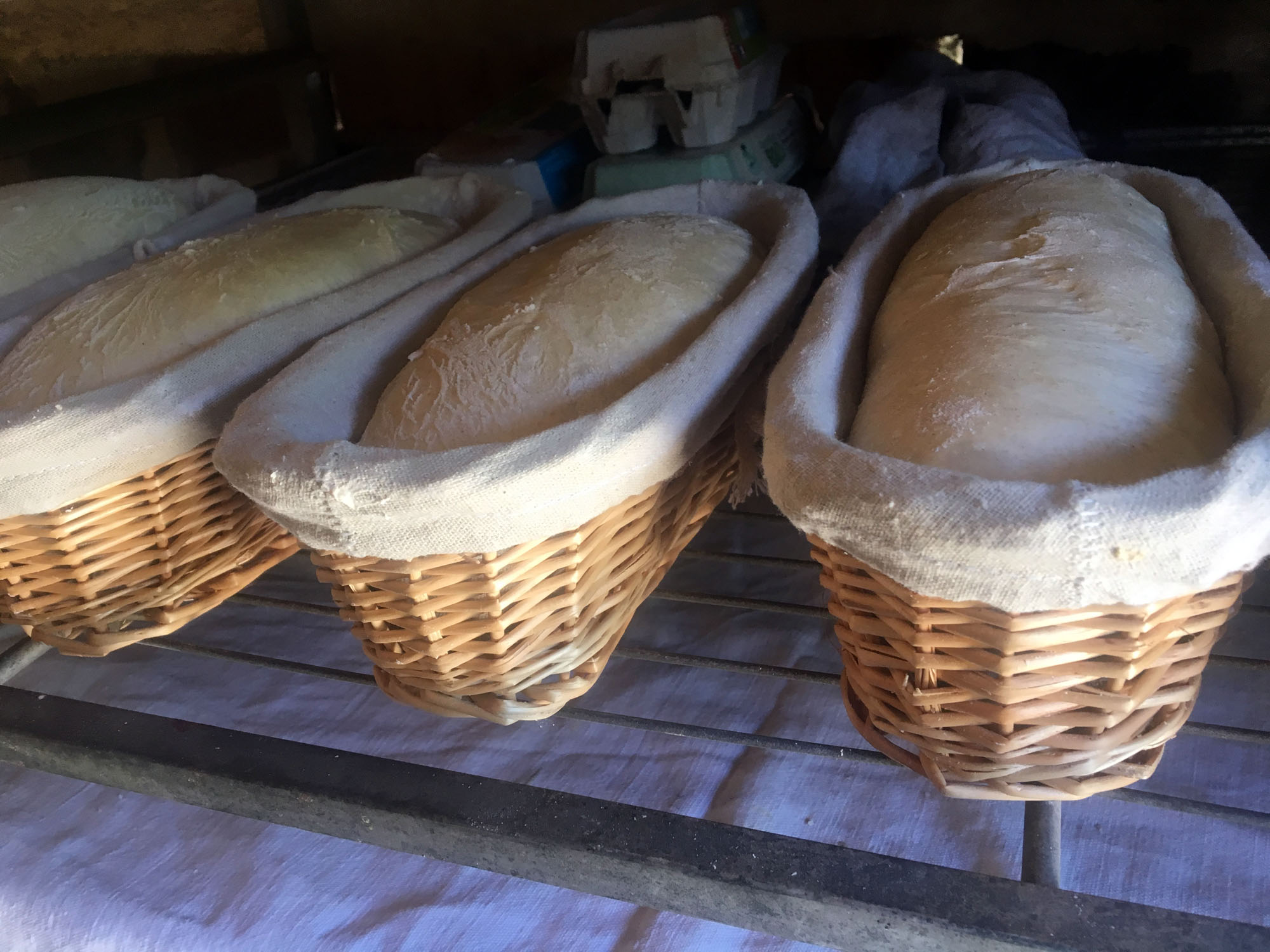 Ferme de Brossard, Lanteuil - photo 6