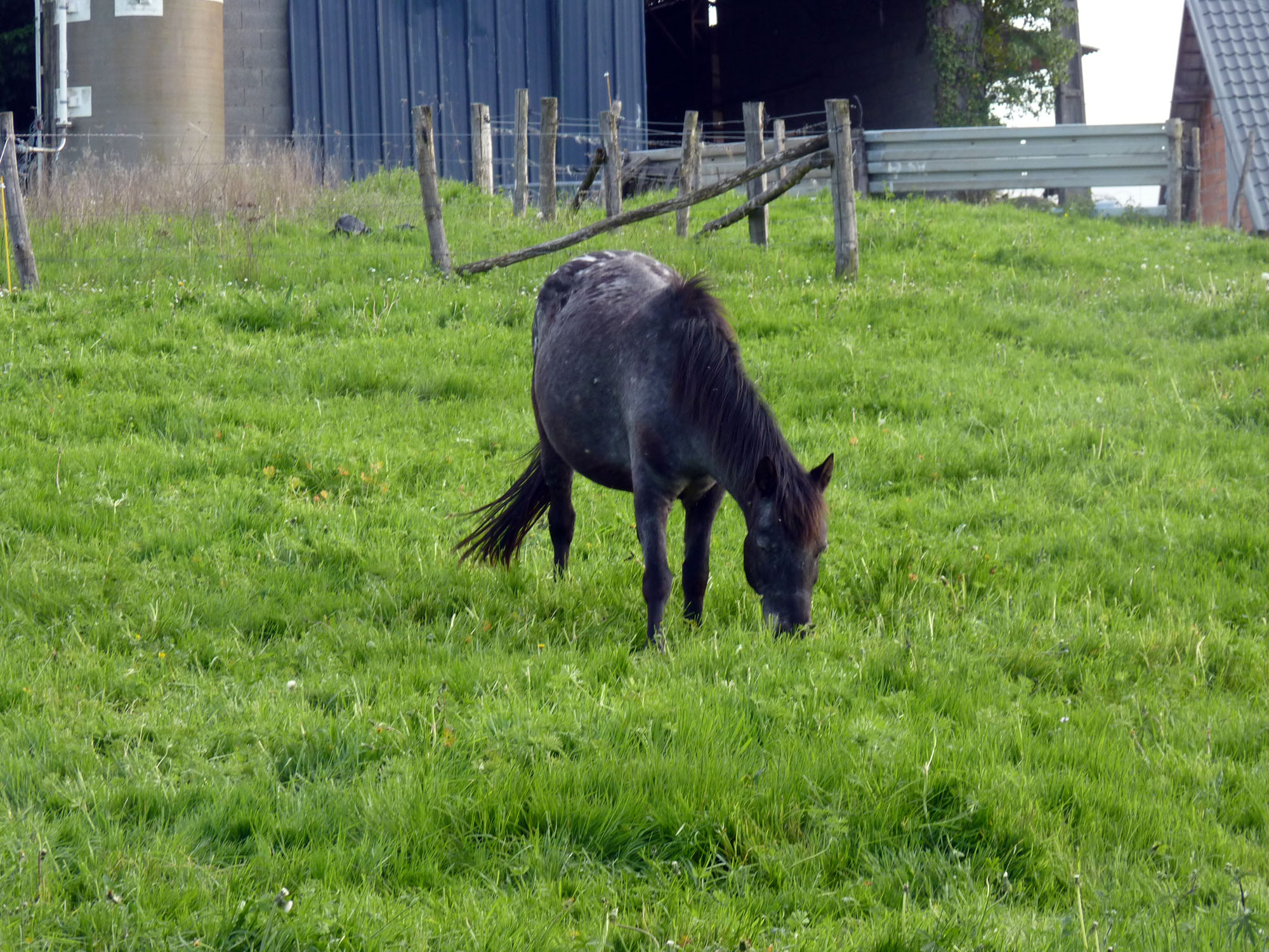 Ferme de Brossard, Lanteuil - photo 10