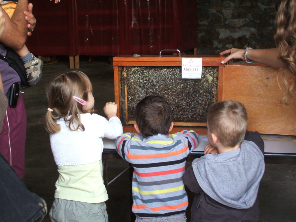 La ferme du Manus - Lycée agricole Henri Queuille - photo 2